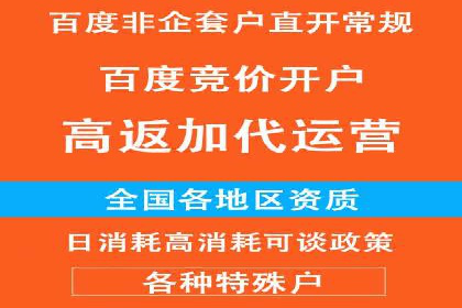 代理开户服务在海外投资中的应用案例